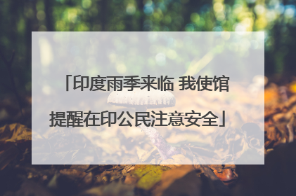 印度雨季来临 我使馆提醒在印公民注意安全
