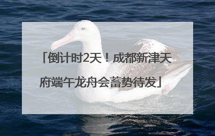 倒计时2天！成都新津天府端午龙舟会蓄势待发
