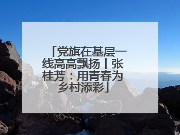 党旗在基层一线高高飘扬丨张桂芳：用青春为乡村添彩