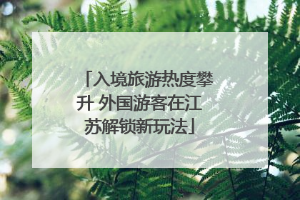 入境旅游热度攀升 外国游客在江苏解锁新玩法