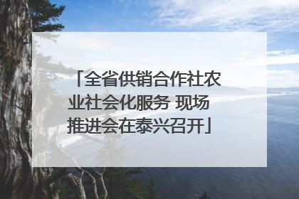 全省供销合作社农业社会化服务 现场推进会在泰兴召开