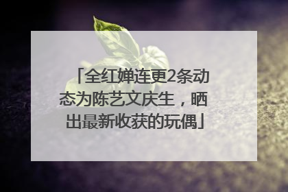 全红婵连更2条动态为陈艺文庆生，晒出最新收获的玩偶