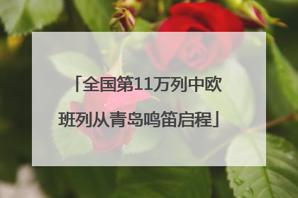 全国第11万列中欧班列从青岛鸣笛启程