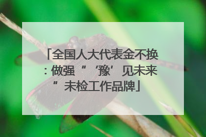 全国人大代表金不换：做强“‘豫’见未来”未检工作品牌