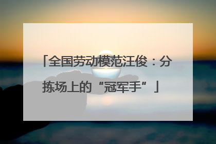 全国劳动模范汪俊：分拣场上的“冠军手”
