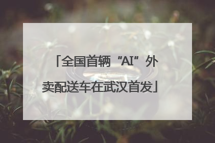 全国首辆“AI”外卖配送车在武汉首发