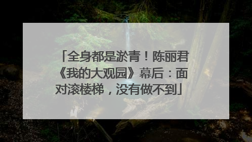 全身都是淤青！陈丽君《我的大观园》幕后：面对滚楼梯，没有做不到