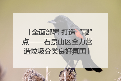 全面部署 打造“靓” 点——石景山区全力营造垃圾分类良好氛围
