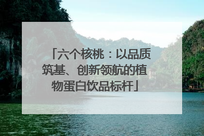 六个核桃：以品质筑基、创新领航的植物蛋白饮品标杆