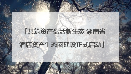 共筑资产盘活新生态 湖南省酒店资产生态圈建设正式启动