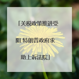 关税政策推进受阻 特朗普政府求助上诉法院