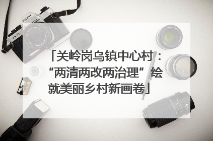 关岭岗乌镇中心村：“两清两改两治理”绘就美丽乡村新画卷