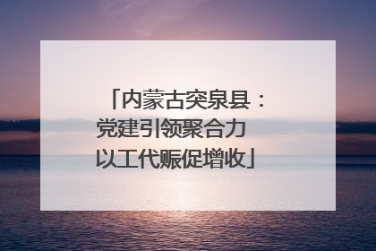 内蒙古突泉县：党建引领聚合力 以工代赈促增收