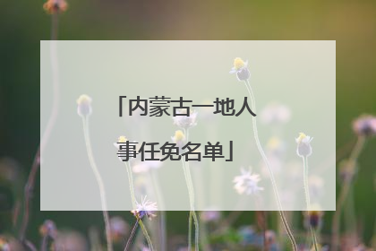 内蒙古一地人事任免名单
