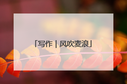 写作｜风吹麦浪