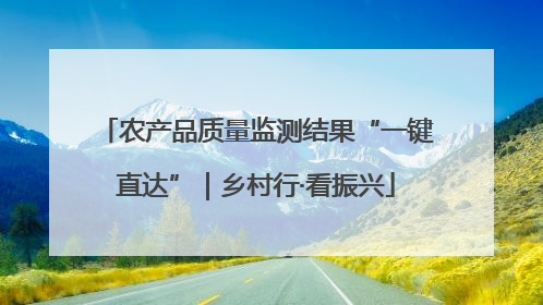 农产品质量监测结果“一键直达”｜乡村行·看振兴