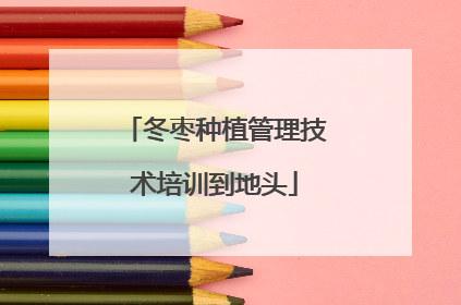 冬枣种植管理技术培训到地头