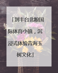 到丰台北粮国际体育小镇，沉浸式体验青海玉树文化