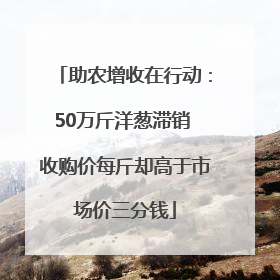 助农增收在行动：50万斤洋葱滞销 收购价每斤却高于市场价三分钱