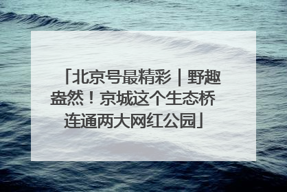 北京号最精彩｜野趣盎然！京城这个生态桥连通两大网红公园