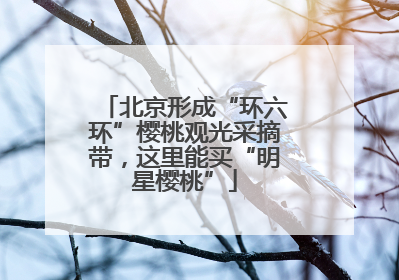 北京形成“环六环”樱桃观光采摘带，这里能买“明星樱桃”