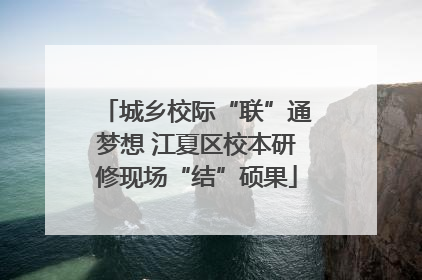 城乡校际“联”通梦想 江夏区校本研修现场“结”硕果