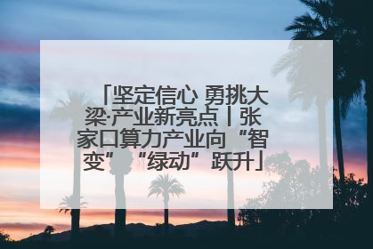 坚定信心 勇挑大梁·产业新亮点丨张家口算力产业向“智变”“绿动”跃升
