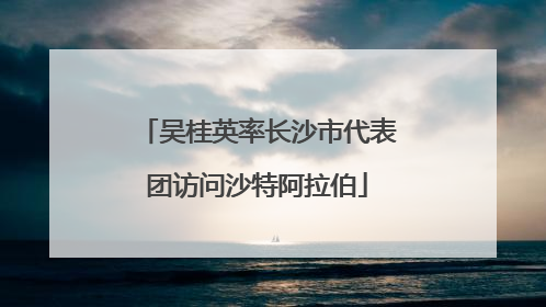 吴桂英率长沙市代表团访问沙特阿拉伯