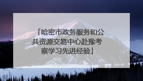 哈密市政务服务和公共资源交易中心赴豫考察学习先进经验