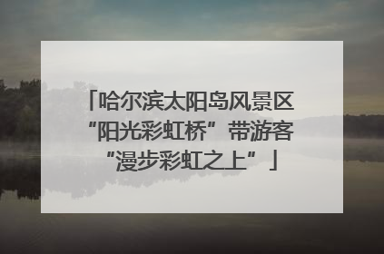 哈尔滨太阳岛风景区“阳光彩虹桥”带游客“漫步彩虹之上”