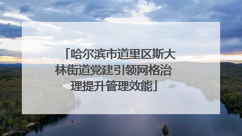 哈尔滨市道里区斯大林街道党建引领网格治理提升管理效能