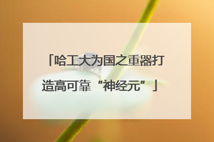 哈工大为国之重器打造高可靠“神经元”