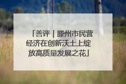 善评｜滕州市民营经济在创新沃土上绽放高质量发展之花