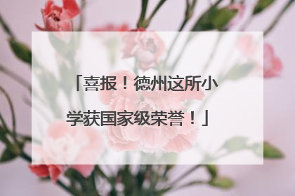 喜报！德州这所小学获国家级荣誉！