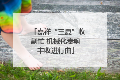嘉祥“三夏”收割忙 机械化奏响丰收进行曲