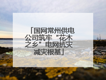 国网常州供电公司筑牢“花木之乡”电网抗灾减灾根基