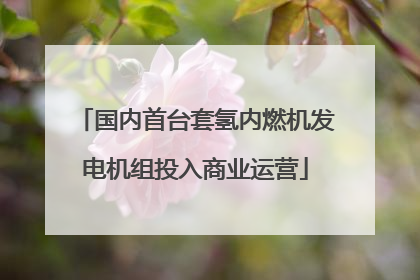国内首台套氢内燃机发电机组投入商业运营