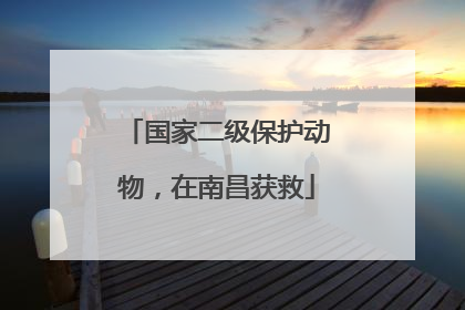 国家二级保护动物，在南昌获救