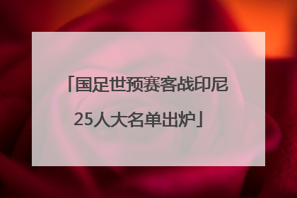 国足世预赛客战印尼25人大名单出炉