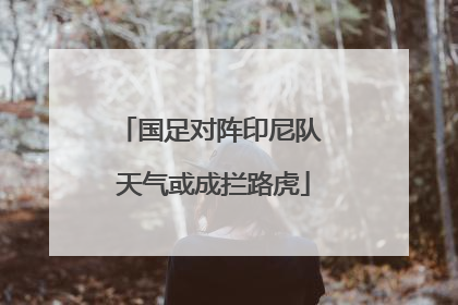 国足对阵印尼队 天气或成拦路虎