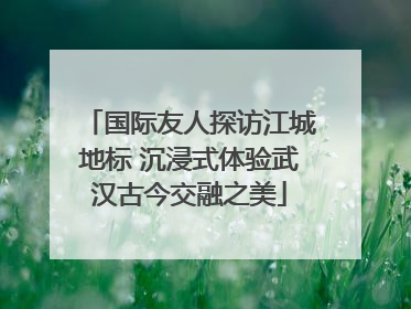 国际友人探访江城地标 沉浸式体验武汉古今交融之美
