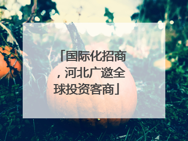 国际化招商，河北广邀全球投资客商