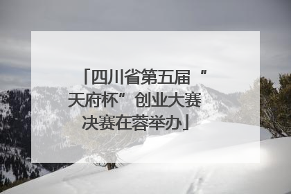 四川省第五届“天府杯”创业大赛决赛在蓉举办