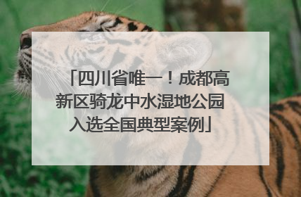 四川省唯一！成都高新区骑龙中水湿地公园入选全国典型案例
