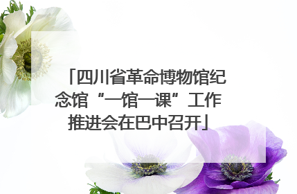 四川省革命博物馆纪念馆“一馆一课”工作推进会在巴中召开