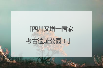 四川又增一国家考古遗址公园！
