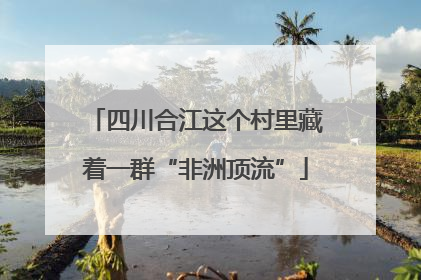 四川合江这个村里藏着一群“非洲顶流”