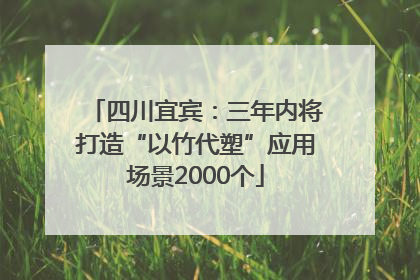 四川宜宾：三年内将打造“以竹代塑”应用场景2000个