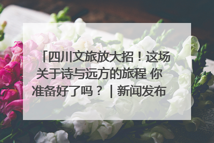 四川文旅放大招！这场关于诗与远方的旅程 你准备好了吗？｜新闻发布最前线·深一度