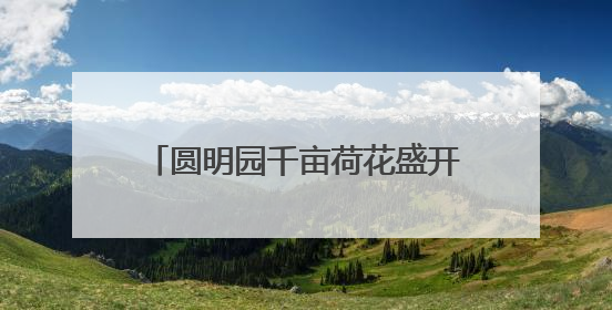 圆明园千亩荷花盛开，你能认出几种？